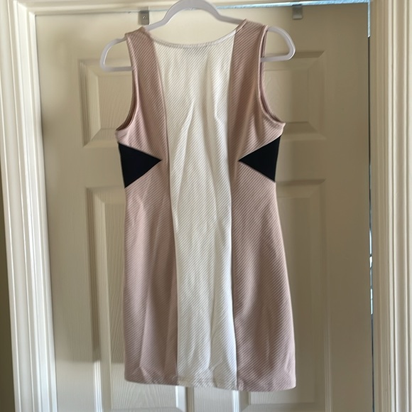 Wish Fitted Colorblock Mini Dress - Picture 2 of 3